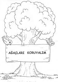 Orman Ne Guzel Sarkisi Tohumlar Fidana Agac Turkusu Orman Haftasi Guzel Sozler Orman Haftasi Siirler Boyama Sayfalari Ormanlar Okul