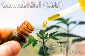 It is usually available under the name of various brands. Use Cbd Oil As Your Sexual Lubricant Proven Tips Tricks