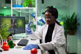 sol platjee university campus, Natural and Applied Sciences, dates, requirements application