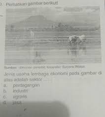 Check spelling or type a new query. Jenis Usaha Lembaga Ekonomi Pada Gambar Di Atas Adalah Sektor Brainly Co Id