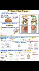 Image result for Shoulder Exam