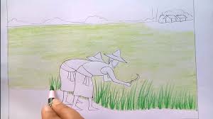 Gambar sketsa petani di sawah. Info Penting 26 Cara Menggambar Petani Menanam Padi
