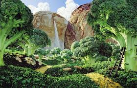 Jardins et forêts vous propose une sélection de serre de très bonne qualité pour profiter de votre jardin dans. Vers La Foret Comestible Prise De Terre