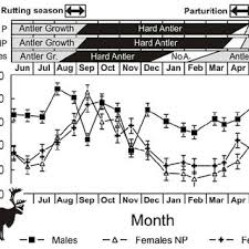 Stylized Time Course Of Hormonal Levels During The Antler