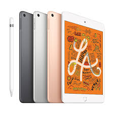 Apple iPad mini 2019 WiFi 64 GB Space ...