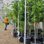 High Plains Arboretum Sale