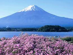 Mt Fuji Official Travel Guide Yamanashi