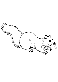 You can print or color them online at getdrawings.com for absolutely free. Coloring Pages Squirrel Coloring Page