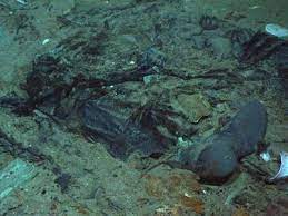 Titanic wrack ort titanic wrack tiefe titanic wreck 2019 titanic wrack google maps titanic wrack 100. Titanic Foto Zeigt Sterbliche Uberreste Am Meeresgrund