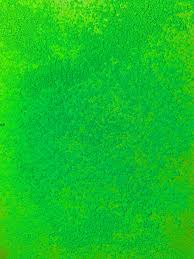 Neon Green Bayside Soap