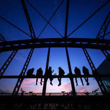 Von erhöhter temperatur spricht man ab 37,5 °c. Wann Ist Man Erwachsen Hirnforscher Kommen Zu Uberraschendem Ergebnis Gesundheit