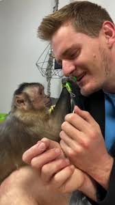 Silly George 😅 knew it was fake and decided to feed it to me 🐒😂 TYS...