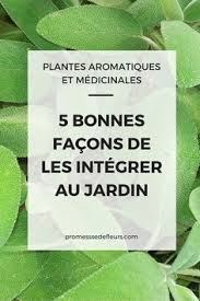 Aromatiques 5 Bonnes Facons De Les Integrer Au Jardin Jardins Suspendus Jardins Et Jardin Aromatique