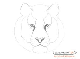 How to draw von jake spicer bei thalia entdecken How To Draw A Tiger Face Head Step By Step Easydrawingtips