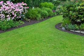 We did not find results for: Amenagement De Jardin En Belgique Conseils D Un Expert De Namur
