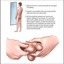 Testicular cancer is believed to be one of the fastest spreading cancers. Testicular Cancer Steemit