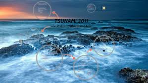 The reason of japanese plans failure was the scale of tsunami, having higher waves than what was assumed, especially in the design of the nuclear power plant. Tsunami 2011 By Philipp Casapu