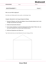 Der Wald Gruppenarbeit Unterrichtsmaterial Im Fach Sachunterricht Gruppenarbeit Stockwerke Des Waldes Arbeit