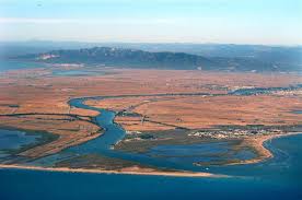 We did not find results for: Etiqueta Riu Ebre