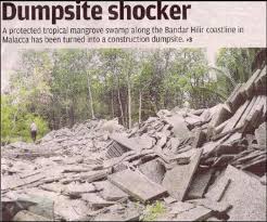 If you see illegal dumping in progress, call 911. 1 Construction Waste Illegally Dumped In Mangrove Swamp The Star Download Scientific Diagram