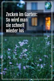 Zecken Im Garten So Werdet Ihr Sie Los Garten Zecken Garten Pflanzen
