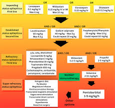 Image result for Status Epilepticus
