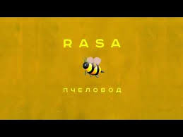 ты пчела я пчеловод а мы любим мед песня Rasa Pchelovod Premera Treka 2019 Youtube Rasa Movie Posters Poster