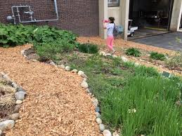 What are wood chip mulch pros and wood chip mulch requires that you use a lot of composted manure to balance the c:n ratio. On The Ground Wood Chips And No Till Sustainability