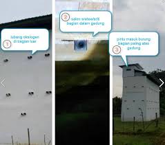 Check spelling or type a new query. 92 Foto Desain Tangga Rumah Walet Terbaik