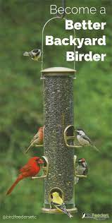 We Are The Web S Premier Provider Of Bird Feeders Houses And Feed For The Backyard Birder Bird Feeders Big Bird Feeder Bird