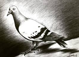Art Artlive Artwork Black Sanat Sanatci Artist Guzelsanatlar Resim Guzelsanatlarahazirlik Ressam Karakalem Drawing Draw Sanatcilar Drawing Resim