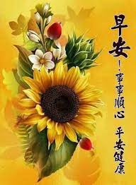 pin by nysg on 早安太阳花 good morning wishes good morning greetings morning greeting