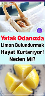 Pin By Deniz Alkan On Acil Bilgi In 2020