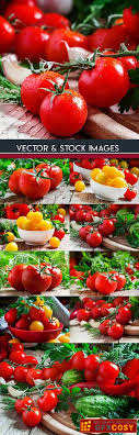Internet archive html5 uploader 1.6.4. Ripe Tomatoes Cherry Branch Healthy Food Free Download Photoshop Vector Stock Image Via Zippyshare Torrent From All Source In The World