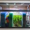 Most diyers use an aquarium for the sump. 1