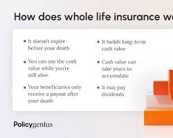 Image of Whole Life Insurance policy