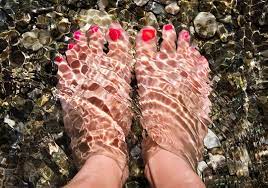 From front to back, these layers are. Hornhaut Entfernen Was Hilft Gegen Hornhaut Dm De