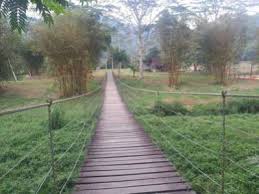 View on map check availability. Canopy Tribe Kota Tinggi Johor Malaysia 6 Guest Reviews Book Hotel Canopy Tribe