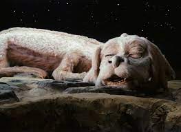 Find deals on products in family dvds on amazon. The Neverending Story Home Facebook