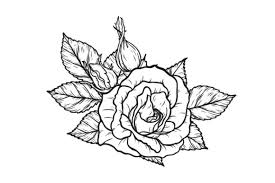 The following 200 files are in this category, out of 207 total. Svg File Free Flower Rose Svg Download Free And Premium Svg Cut Files