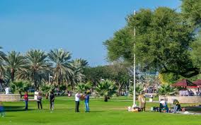 If you are camping at a public campground or dispersed camping area it may be up to you to find the local fun. Things To Do At Creek Park Dubai Cable Car Dolphinarium More Mybayut