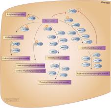 Image result for Bupropion