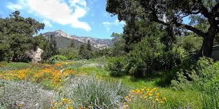 Santa Barbara Botanic Garden Visit Santa Barbara Botanical Gardens Channel Islands National Park