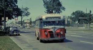 Image result for Brown 1980 Evans Coach Lines
