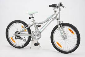 Giant Areva Lite 20 Atb 7k Silber Dirt Dual Bikes Fahrrader Atb 20 Zoll Silver White Tealgreen Www Fahrradgigant De Gunstig Online Kaufen