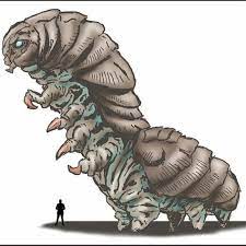 Comparacao De Tamanho De Mothra Larva 2019 Com Um Humanocreditos A Kaijugroupie84 No Twitter Godzilla Godzil All Godzilla Monsters Kaiju Monsters Kaiju Art