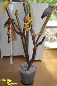 Choisissez votre cadeau perruche préféré parmi des milliers de produits. Accessoire Comment Fabriquer Un Arbre A Perroquets Tutoriel Test Prix Jouet Pour Perroquet Perroquet Perchoir Perroquet