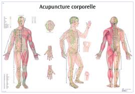 acupuncture point wall chart english