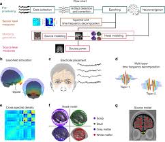 Sebenarnya angka 607 meaning bahasa gaul sering digunakan oleh anda terutama anda yang sring chattingan dengan pacar anda di media sosial. Non Invasive Recording From The Human Olfactory Bulb Nature Communications