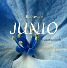 La predicción completa sobre salud, dinero y amor según tu signo del zodiaco. Frases Para Junio Bienvenido Junio Hola Junio Imagenes Y Carteles